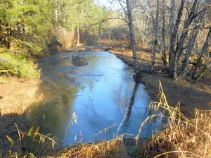A beautiful local Oregon coastal Winter steelhead stream