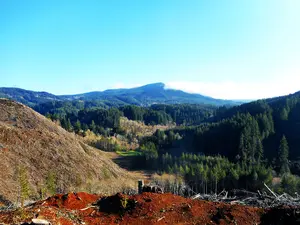 A view of my Oregon inland coast range foraging region