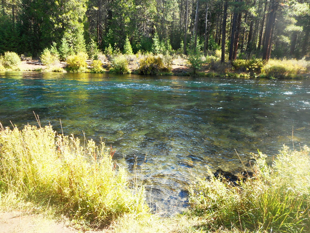 My favorite clear, cold, beautiful steelhead spinner stream