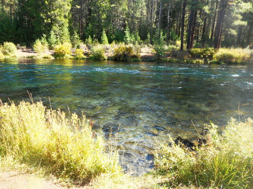 My favorite clear, cold, beautiful steelhead spinner stream