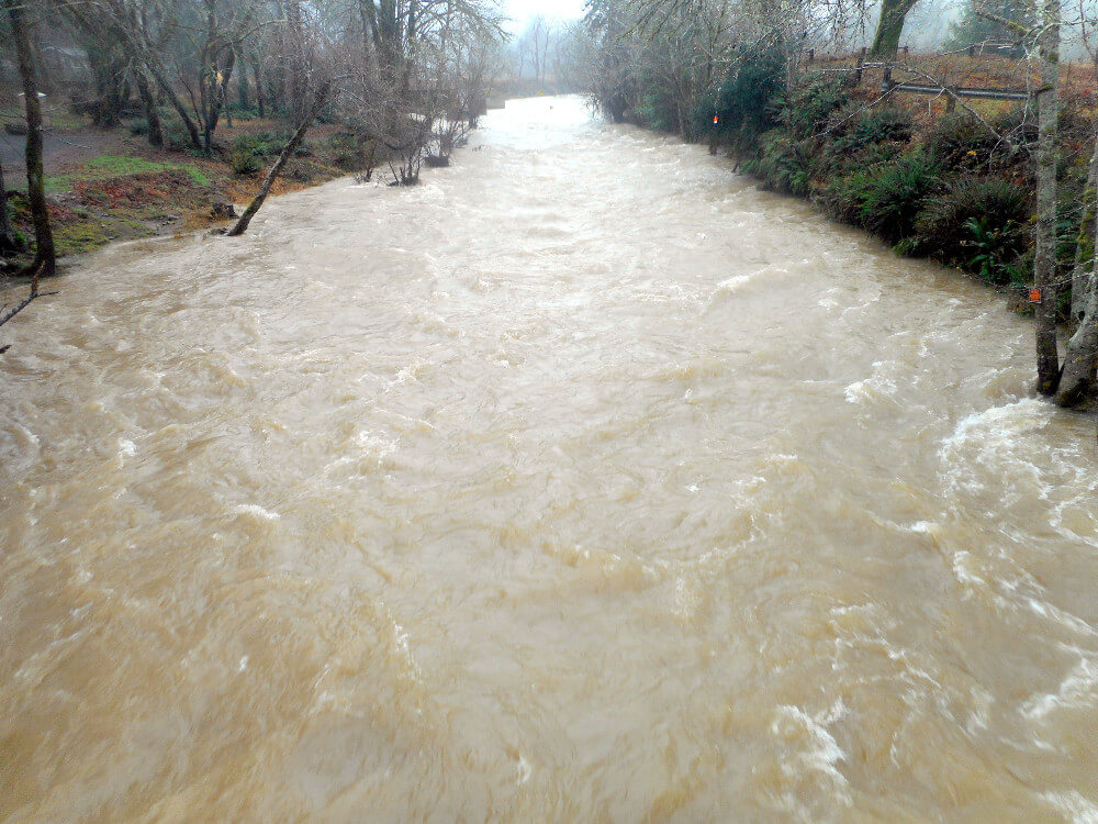 High water at Hebo Three Rivers Hatchery