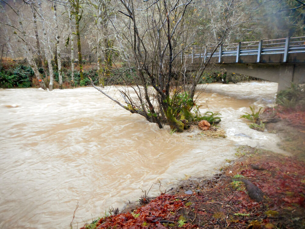 High water at Hebo Oregon Cedar Creek Hatchery 