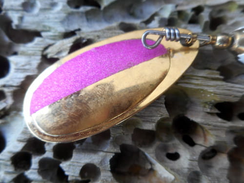 A gold French steelhead spinner blade with a purple stripe