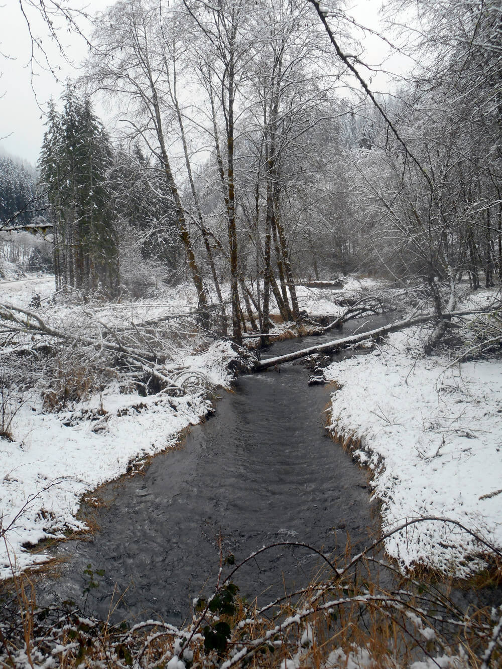Three Rivers headwaters above Hebo, Oregon covered in snow