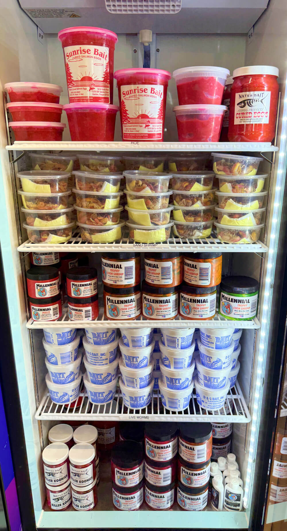 Our cooler is full of salmon and steelhead bait