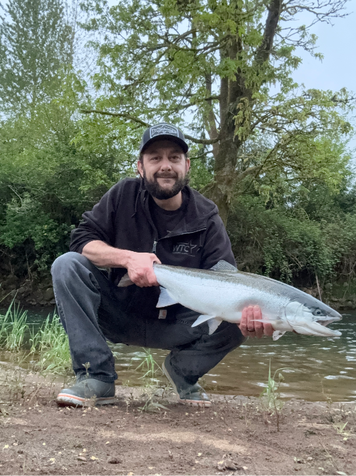 A beautiful spinner-caught Three Rivers Summer Steelhead