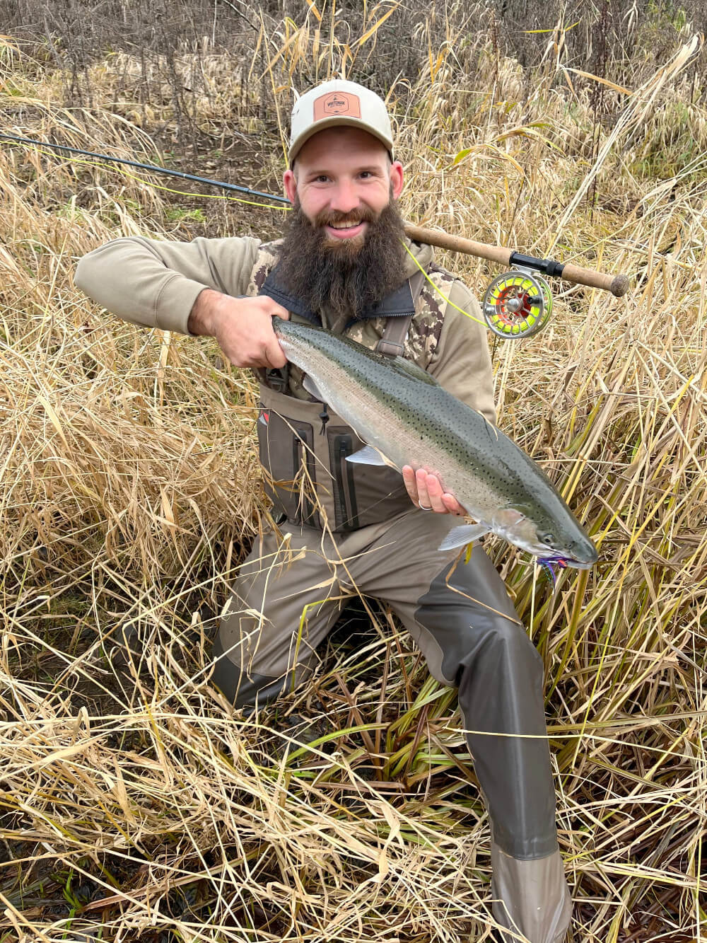 Fly-caught Oregon Coast Steelhead