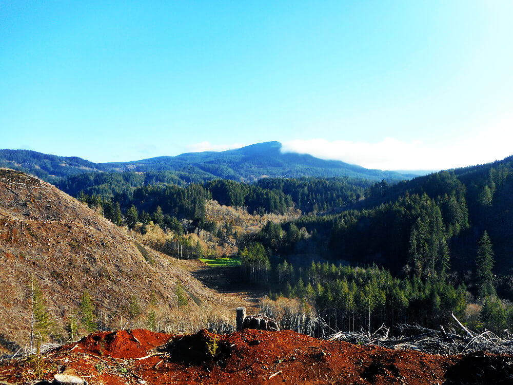 A view west of my Oregon inland coast range foraging region