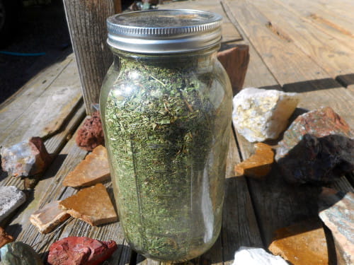 I dried this full quart jar of salmonberry leaves