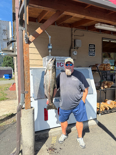 Beautiful Nestucca-River-salmon
