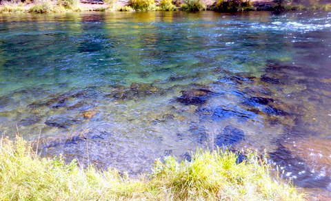 How clear is this Winter Steehead River?