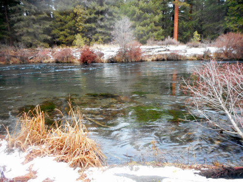  An Oregon outdoors dream come true!