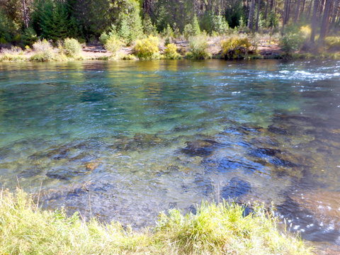 Beautiful clear steelhead stream