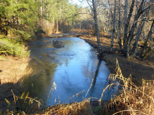 A beautiful local Oregon coastal Winter steelhead stream