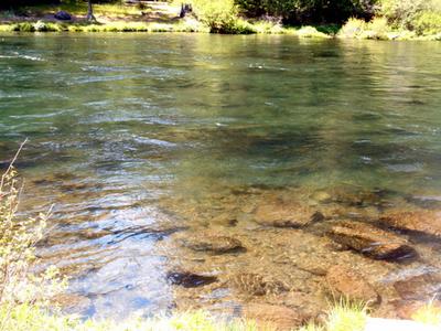 Low, clear water Summer steelhead fishing conditions
