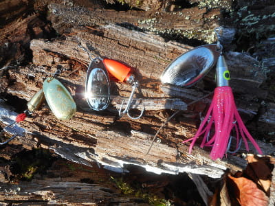 A collection of steelhead spinners